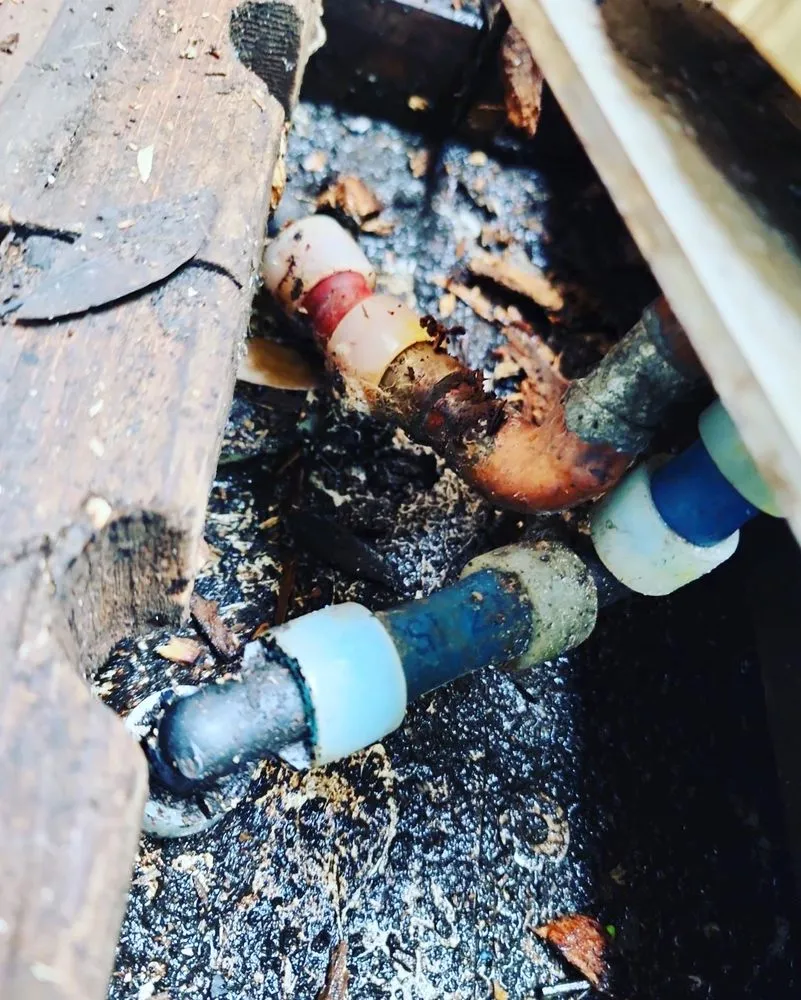 Slide of STAT Home Services