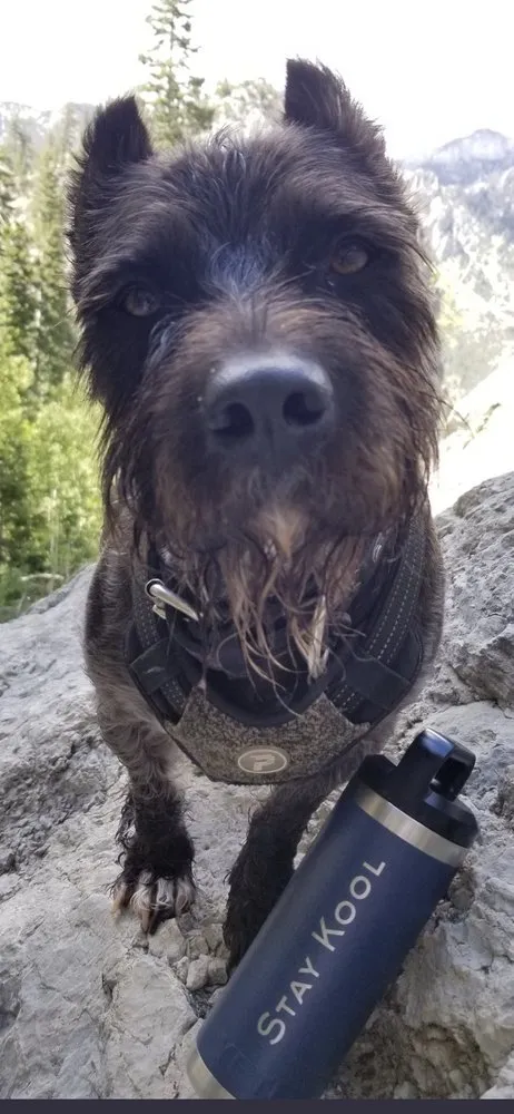 Slide of Stay Kool Mechanical