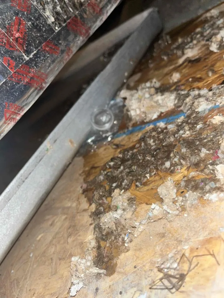 Slide of Steadfast Mechanical