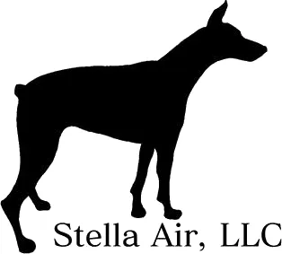Slide of Stella Air