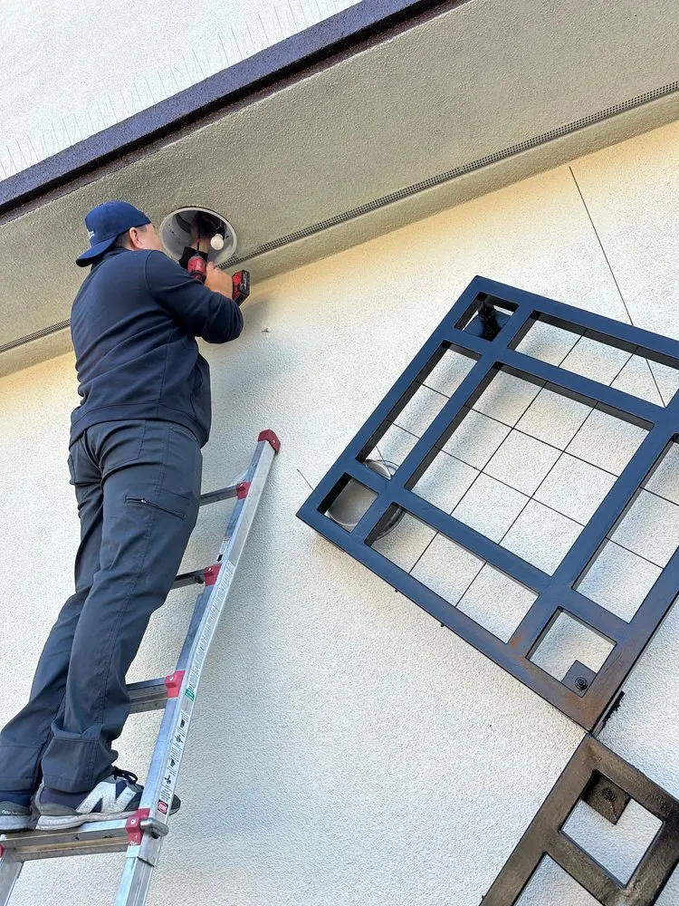 Slide of Step By Step