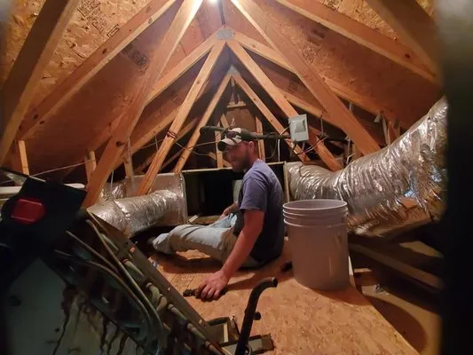 Sterling Service of Florida Logo