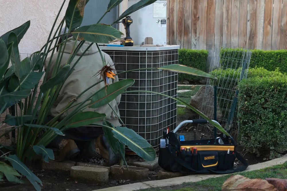 Slide of Steve Patrick Air