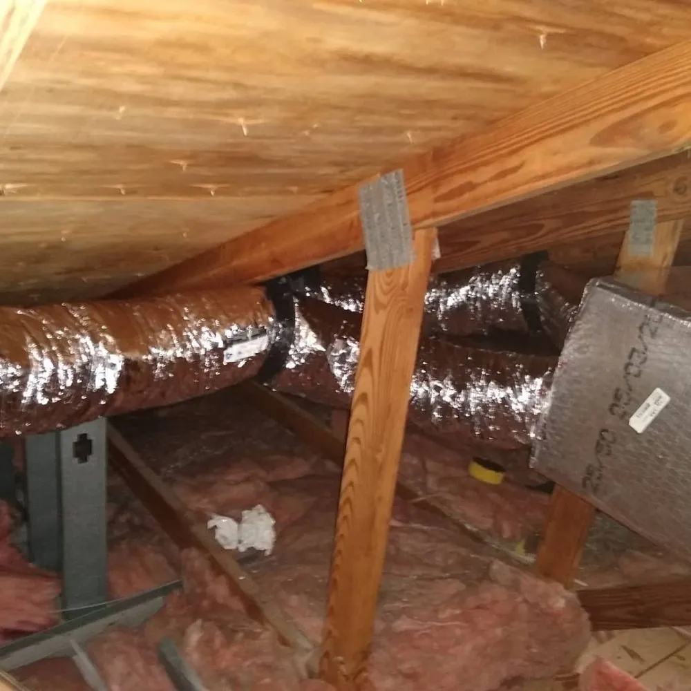 Slide of Steve Super Kool