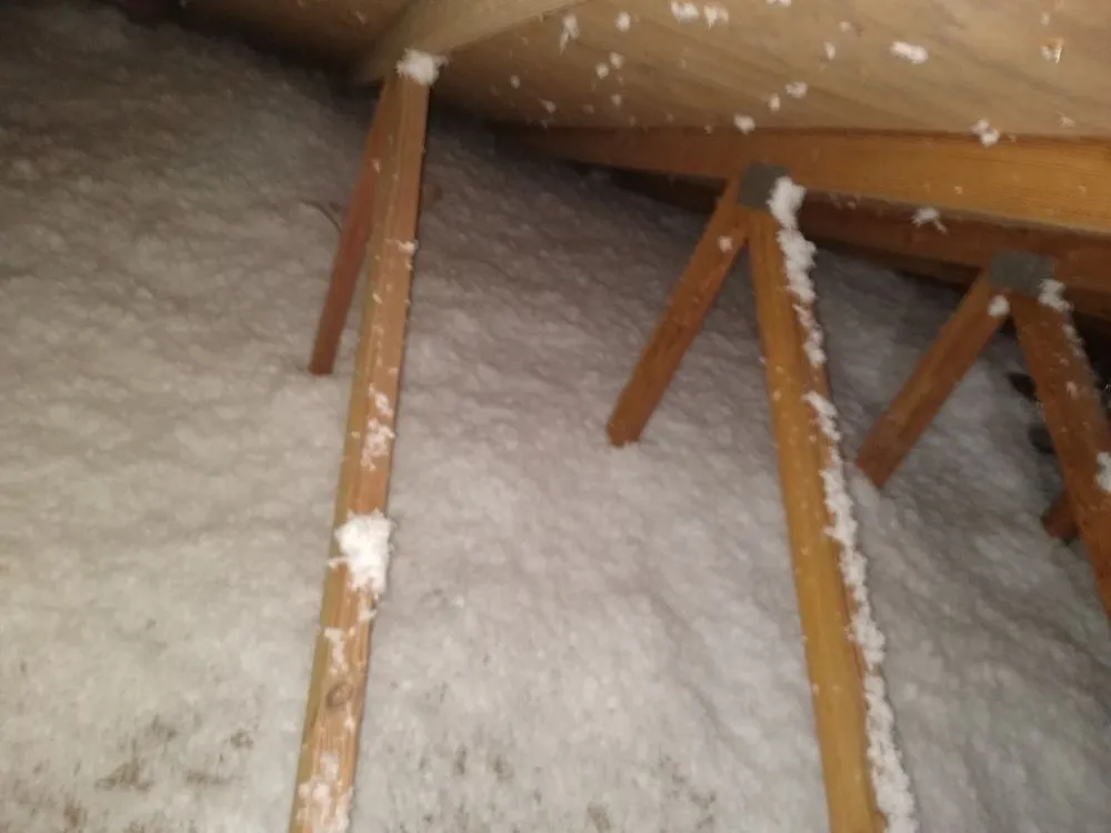 Slide of Steve Super Kool