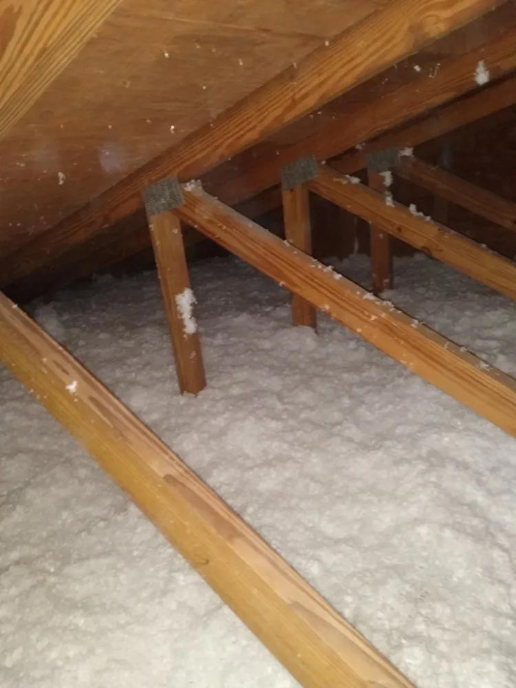 Slide of Steve Super Kool