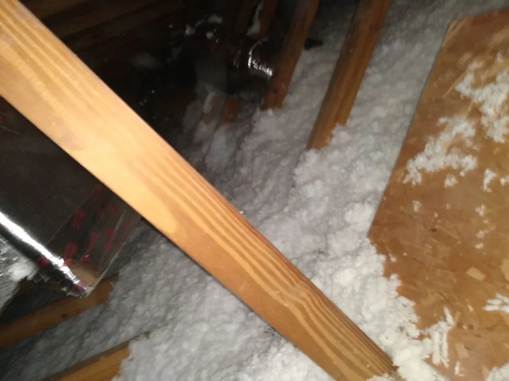 Slide of Steve Super Kool