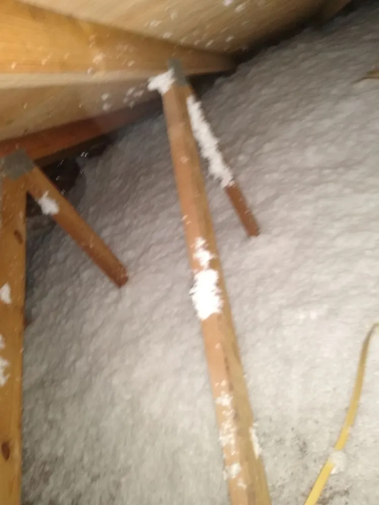 Slide of Steve Super Kool