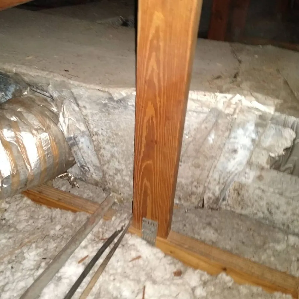 Slide of Steve Super Kool