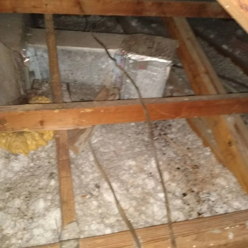 Slide of Steve Super Kool