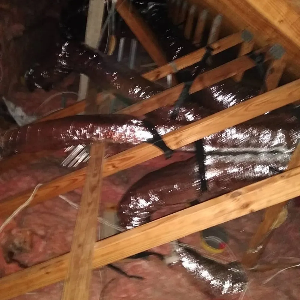 Slide of Steve Super Kool