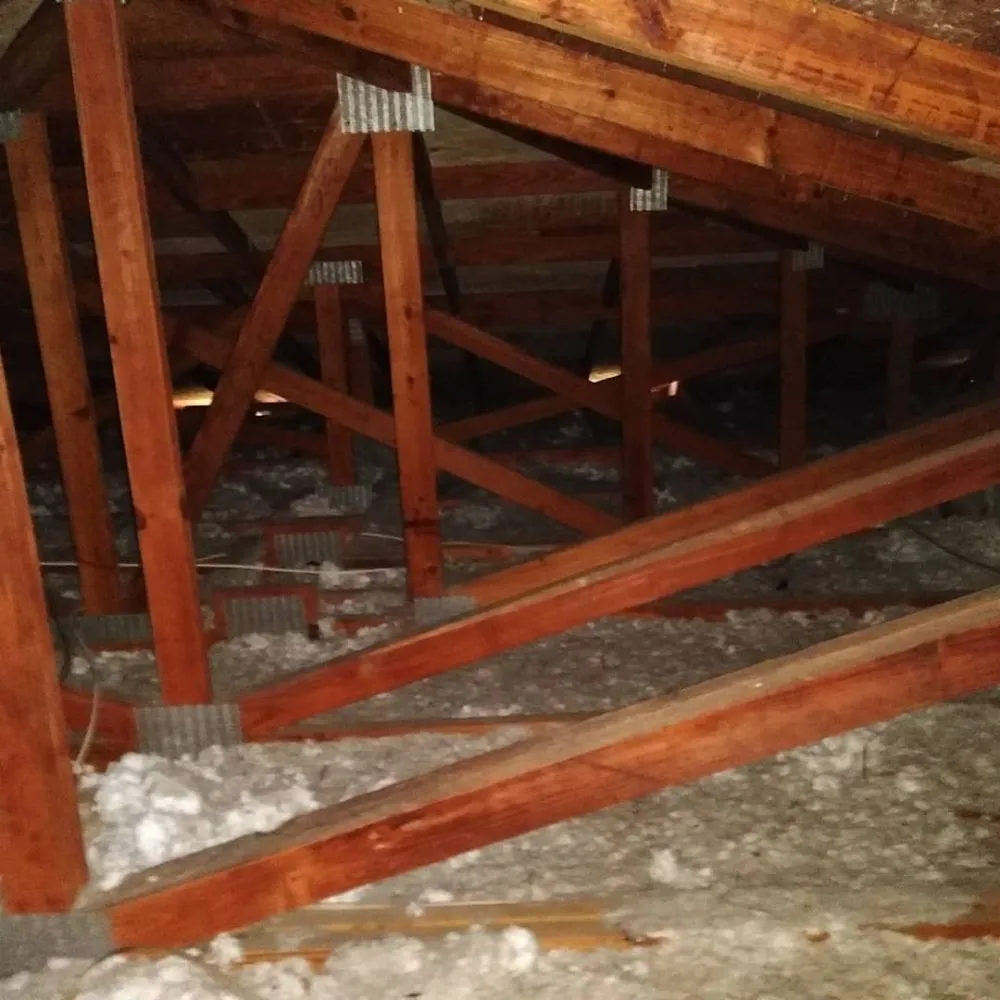 Slide of Steve Super Kool