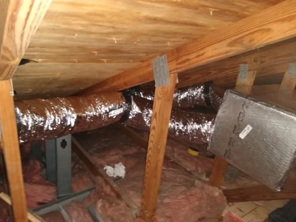 Slide of Steve Super Kool