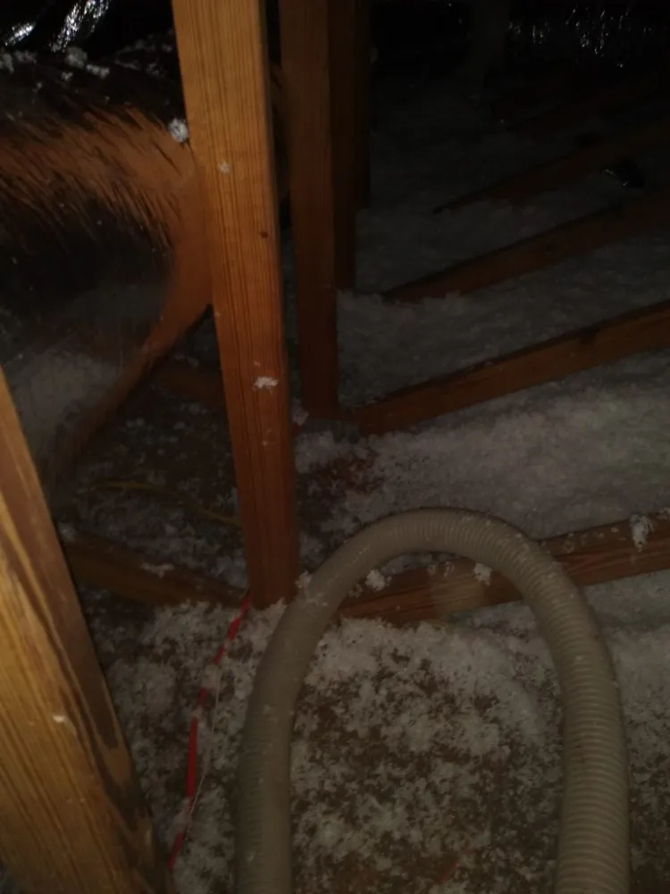 Slide of Steve Super Kool