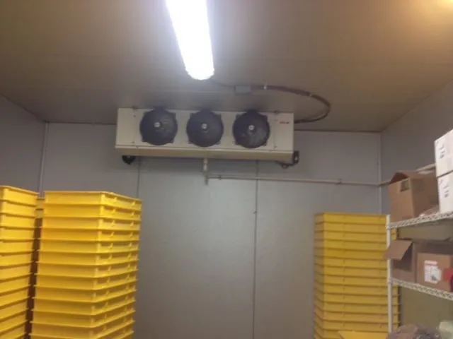 Slide of Steve's A to Z