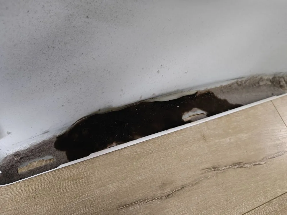 Slide of Steves Appliance Repair