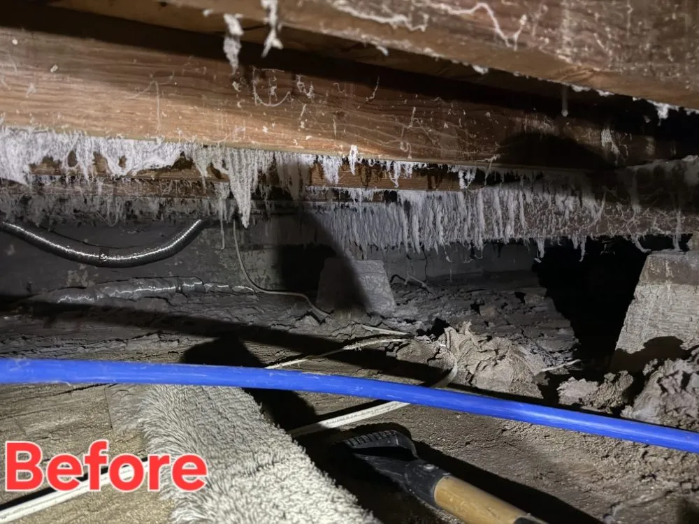 Slide of Steves Appliance Repair