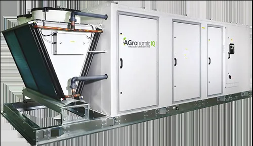 Slide of Stillwell-Hansen