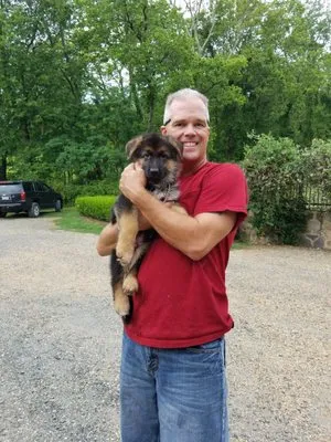 Stimmler G J & Sons Logo