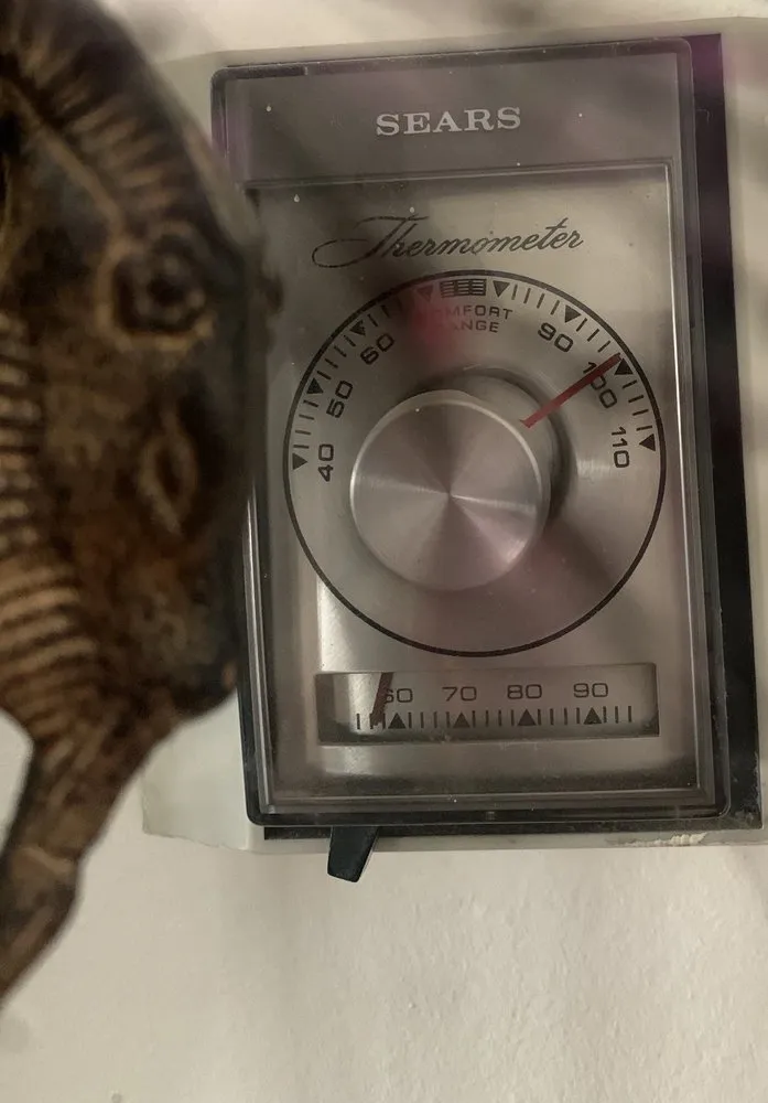 Slide of Stockdale Aire