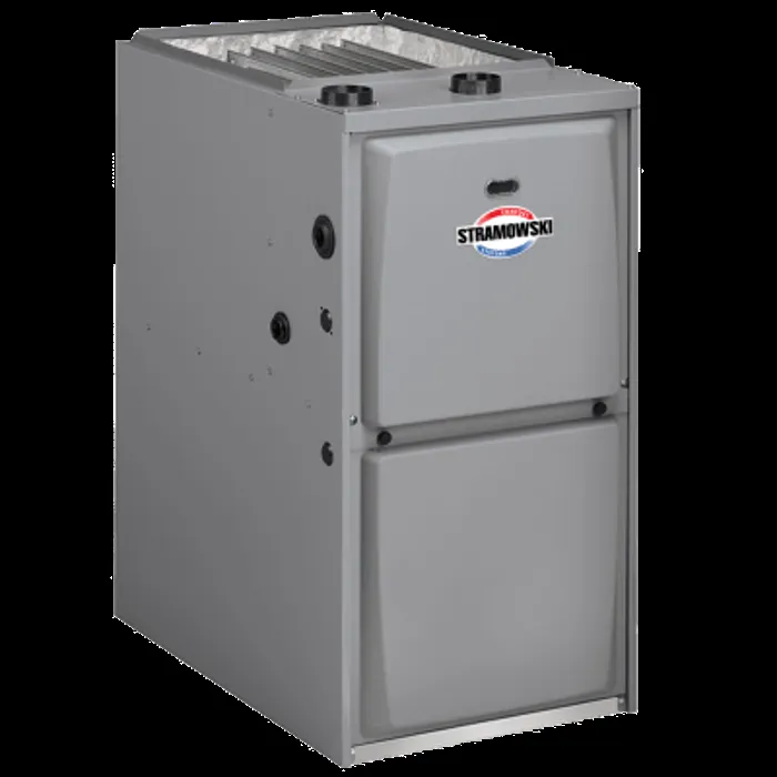 Slide of Stramowski Heating