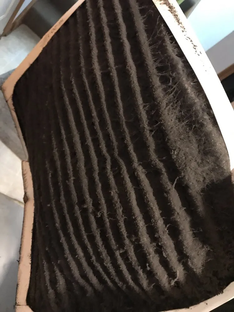 Slide of Stramowski Heating