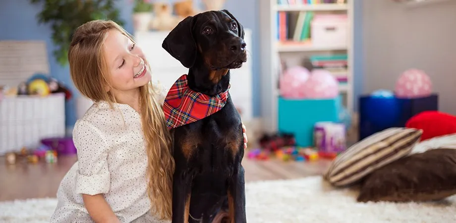 Slide of Street Heating & Sheet Metal