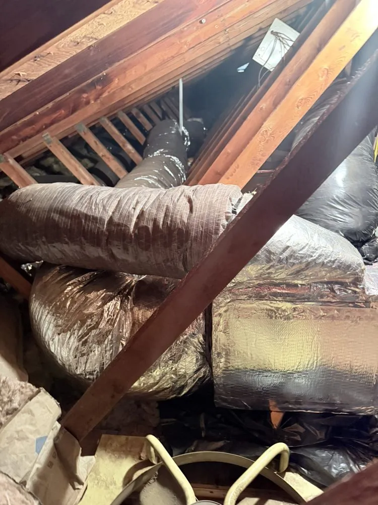 Slide of Striver Chimney Sweep