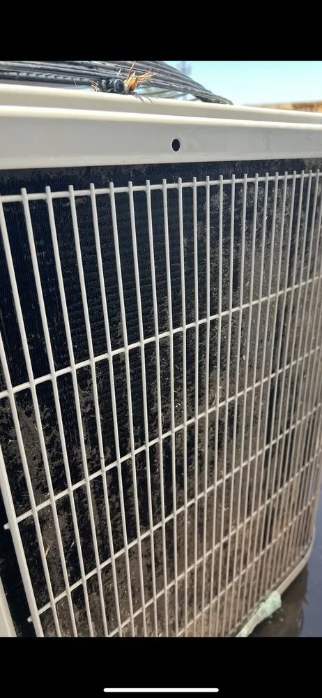 Slide of Stunning Maintenance