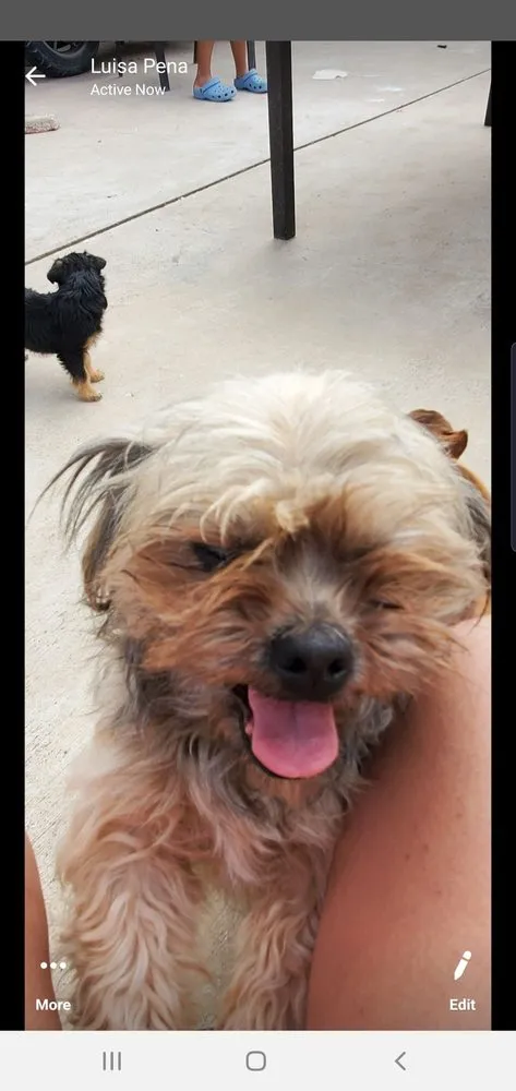 Slide of STX Domestic Appliances Heating & Air Conditioning Repair