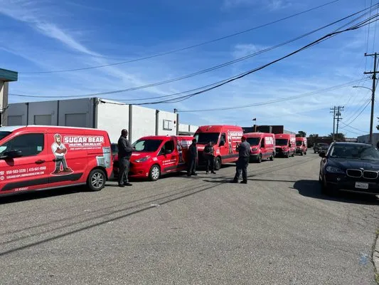 Sugar Bear Home Services