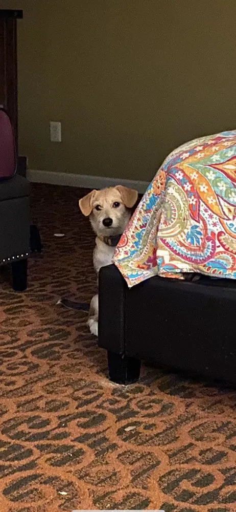 Slide of Sugar Land AC and Heating