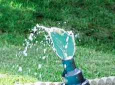 Slide of Summerlast Services