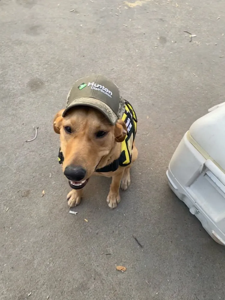 Slide of Sun Air Conditioning & Heating