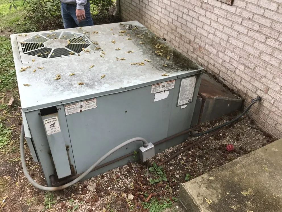 Top-rated heating repair in Albany, OH by Sun City Mechanical