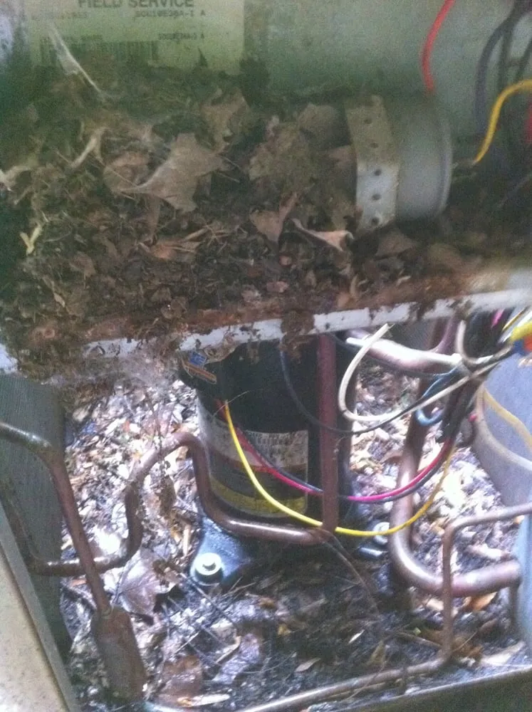 Slide of Sun Services