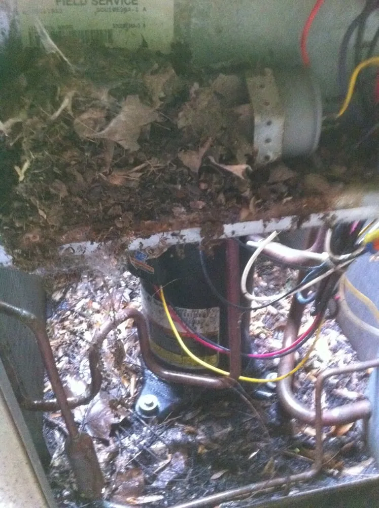 Slide of Sun Services