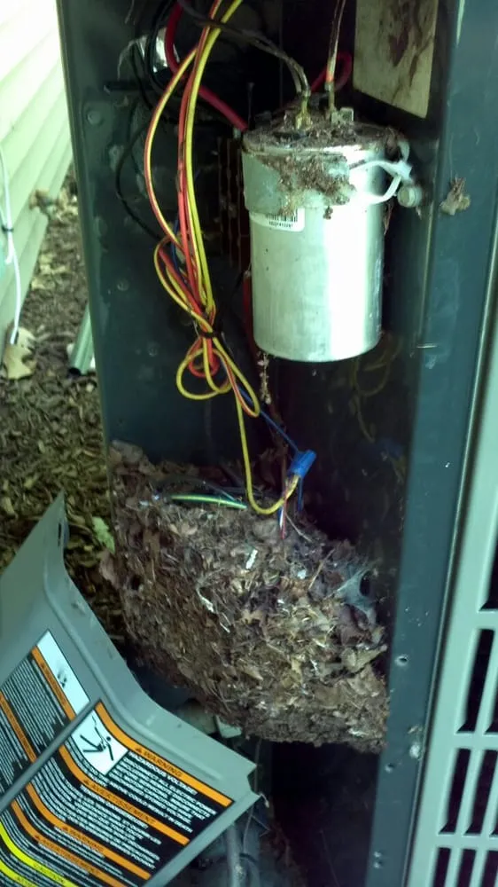 Slide of Sun Services