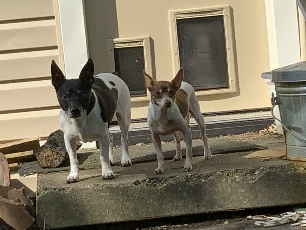 Slide of Sunrise Home Services