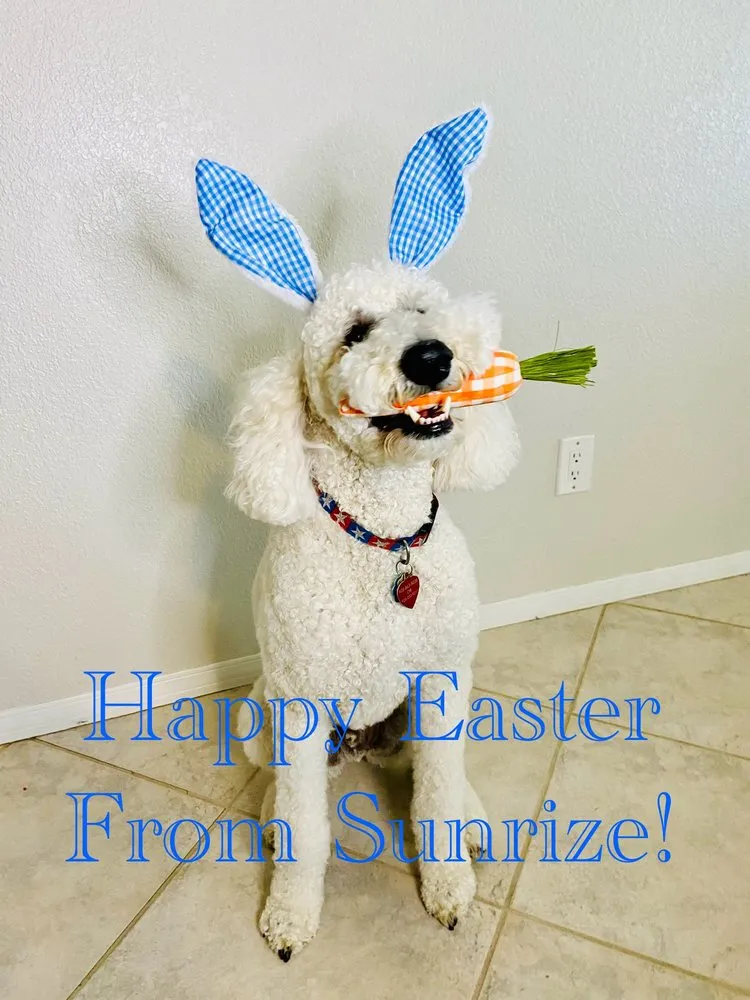 Slide of Sunrize Air Conditioning