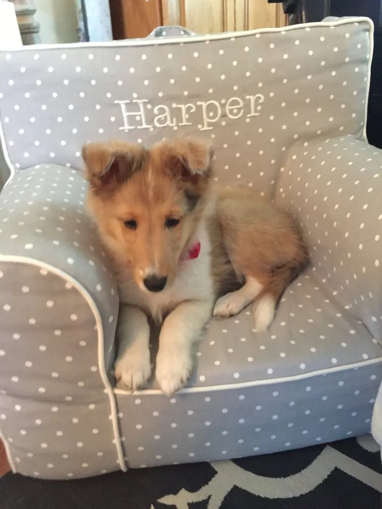 Slide of Sunset Plumbing & Heating Tonawanda