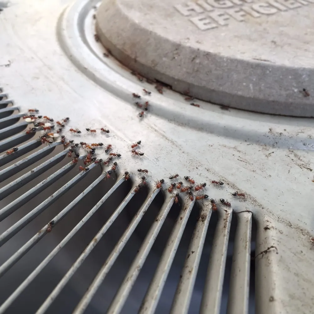 Certified furnace service near you in Spring branch, TX by Super Cool Air Conditioning & Heating