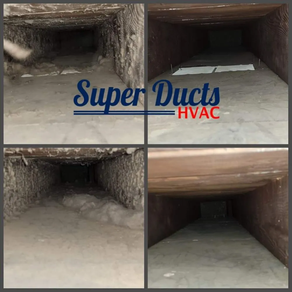 Slide of Super Ducts