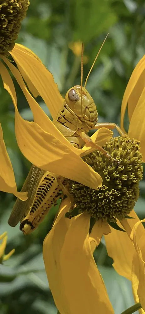 Slide of Super Fresh Air Conditioning & Heating