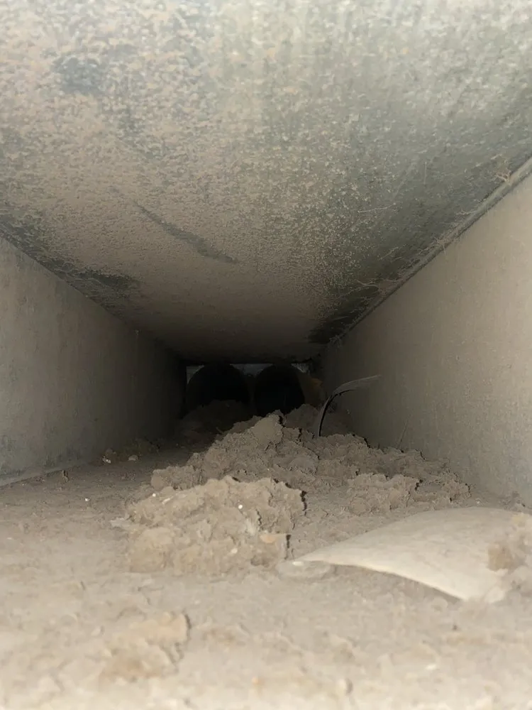 Slide of Superior Duct Cleaning