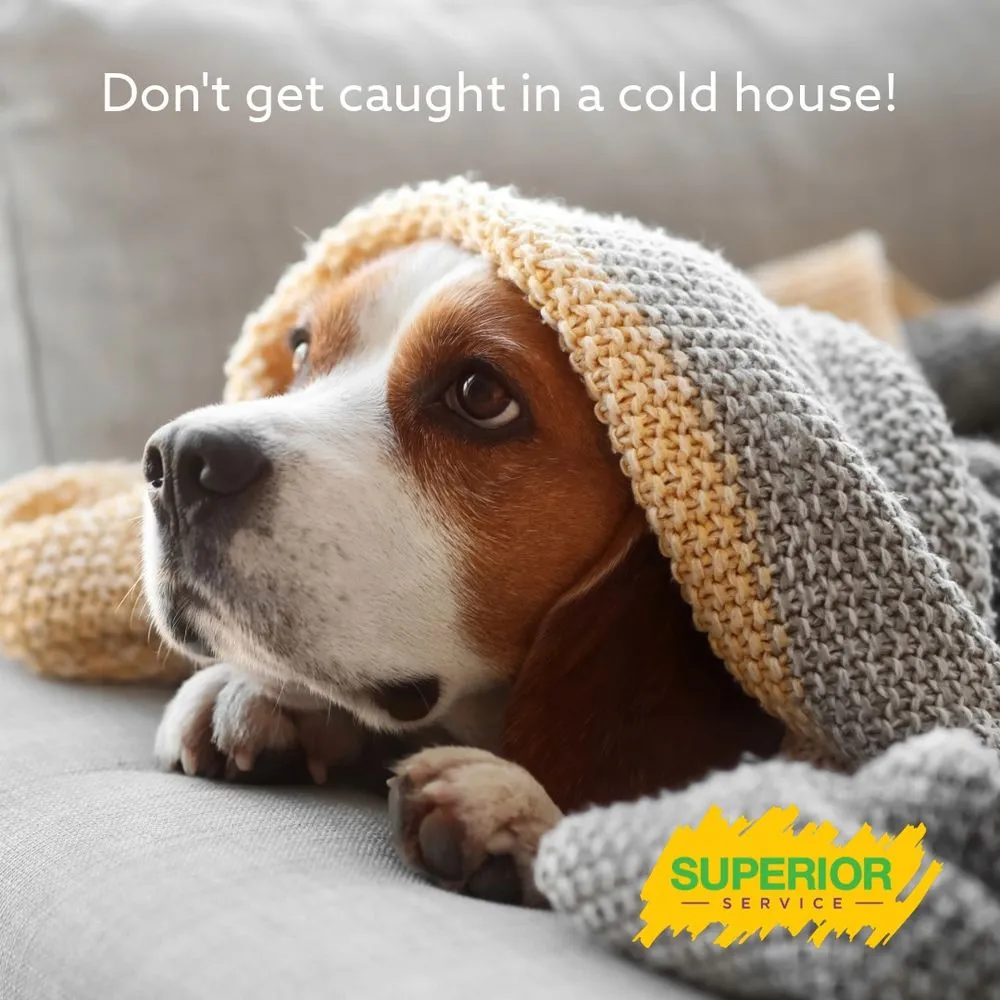 Slide of Superior Service