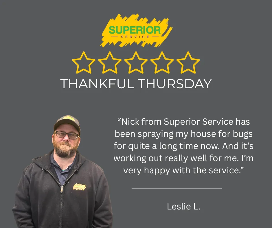 Slide of Superior Service