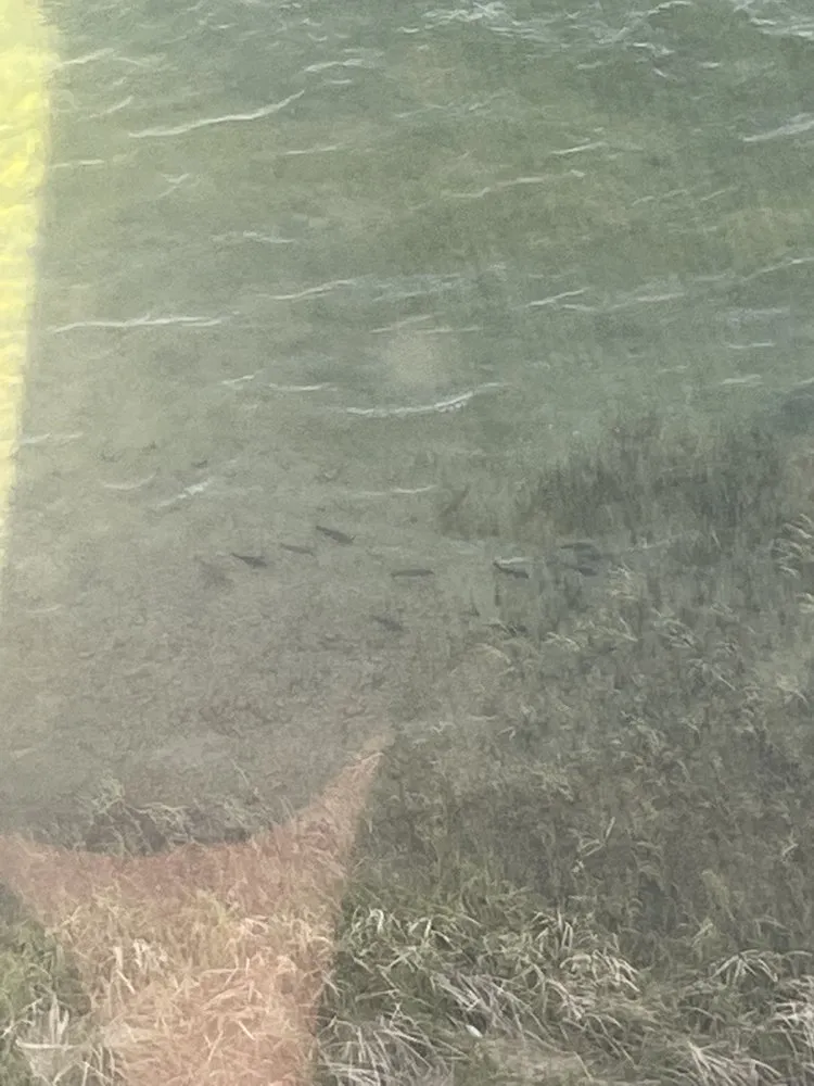 Slide of Superior Services