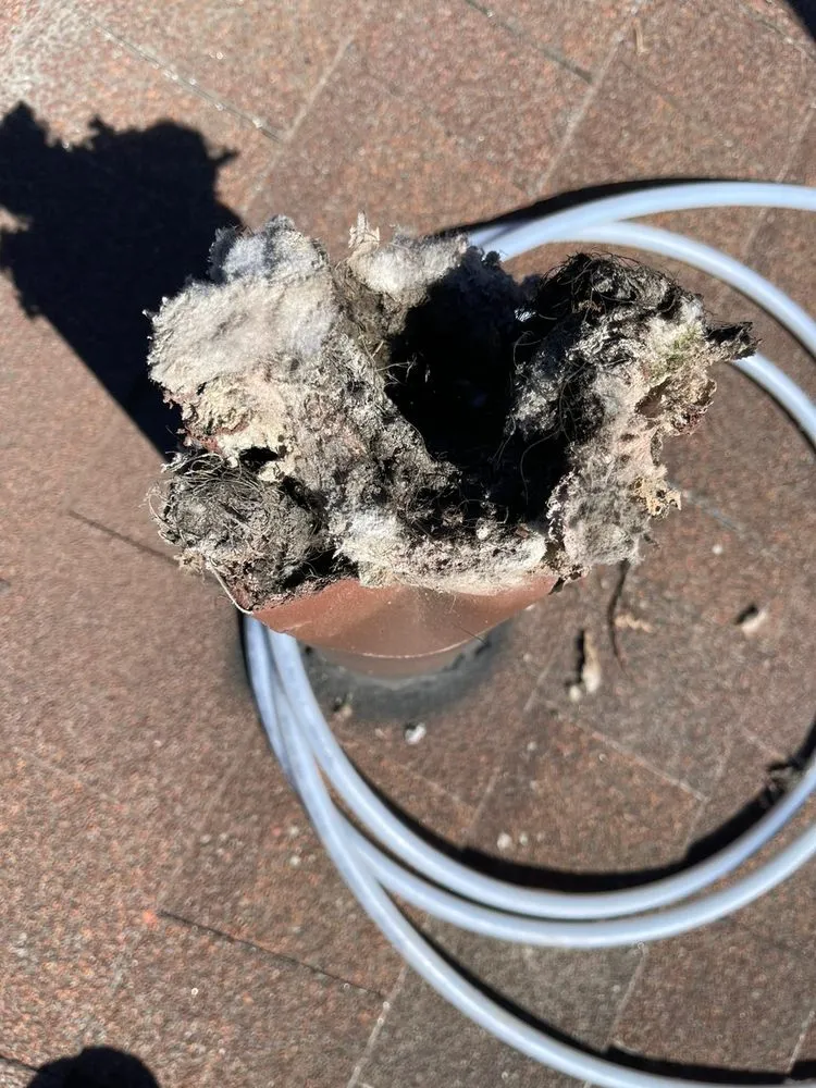 Slide of Supreme Air - Austin