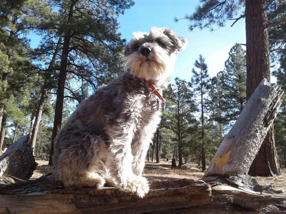 Slide of Supreme Heating & Cooling